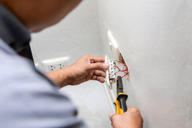 Best Electrical Upgrades for Homes  in Apple Mountain Lake, VA